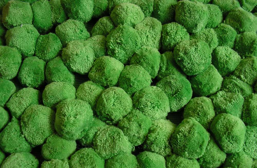 Green Bobble Fringes | Green Pom Pom Trim 2.5cm